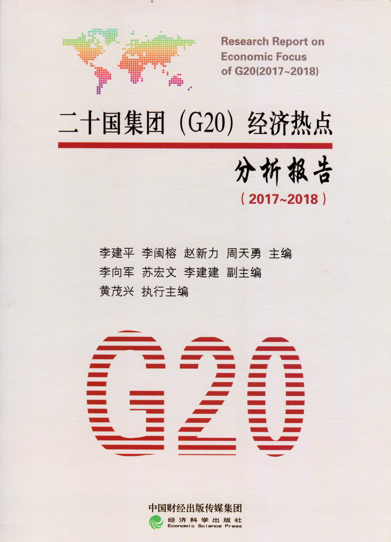 日B干B视频图二十国集团（G20）经济热点分析报告（2017-2018）